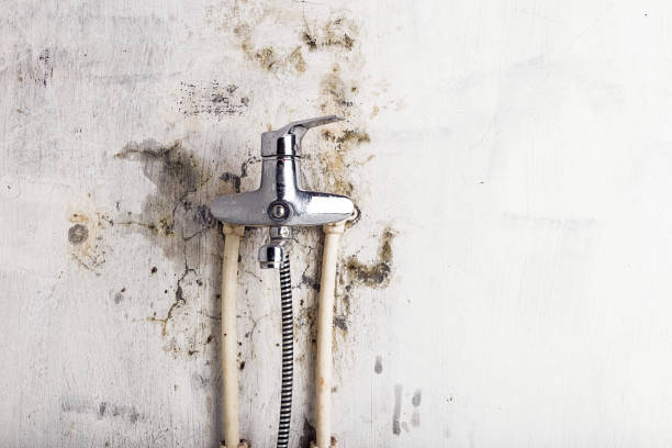 Cataula, GA Mold Removal Company