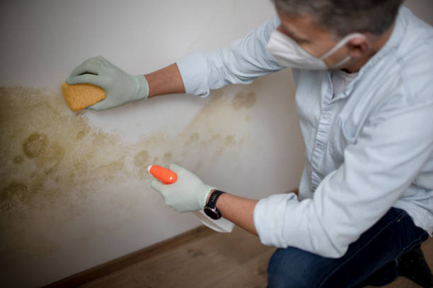 Best Local Mold Removal Service  in Cataula, GA